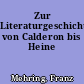 Zur Literaturgeschichte von Calderon bis Heine