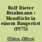 Rolf Dieter Brinkmann : Mondlicht in einem Baugerüst (1975)