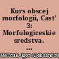 Kurs obscej morfologii, Cast' 3: Morfologiceskie sredstva. Cast' 4: Morfologiceskie sintaktiki