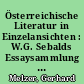 Österreichische Literatur in Einzelansichten : W.G. Sebalds Essaysammlung "Die Beschreibung des Unglücks"