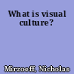 What is visual culture?