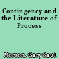 Contingency and the Literature of Process