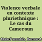 Violence verbale en contexte pluriethnique : Le cas du Cameroun