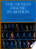 The human figure in motion