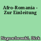 Afro-Romania - Zur Einleitung