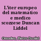 L'iter europeo del matematico e medico scozzese Duncan Liddel