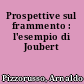 Prospettive sul frammento : l'esempio di Joubert