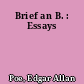 Brief an B. : Essays