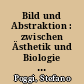 Bild und Abstraktion : zwischen Ästhetik und Biologie in Deutschland, 1880-1930
