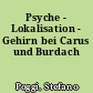 Psyche - Lokalisation - Gehirn bei Carus und Burdach