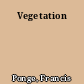 Vegetation