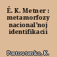 É. K. Metner : metamorfozy nacional'noj identifikacii