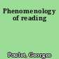 Phenomenology of reading