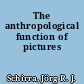 The anthropological function of pictures