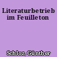 Literaturbetrieb im Feuilleton