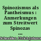 Spinozismus als Pantheismus : Anmerkungen zum Streitwert Spinozas im 19. Jahrhundert