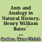 Ants and Analogy in Natural History. Henry William Bates` "The Naturalist on the River Amazons" (1863) and Antonia S. Byatt`s "Angels and Insects" (1992)