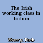 The Irish working class in fiction