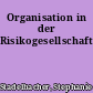 Organisation in der Risikogesellschaft