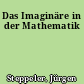 Das Imaginäre in der Mathematik