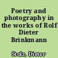 Poetry and photography in the works of Rolf Dieter Brinkmann