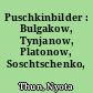 Puschkinbilder : Bulgakow, Tynjanow, Platonow, Soschtschenko, Zwetajewa