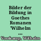 Bilder der Bildung in Goethes Romanen 'Wilhelm Meisters Lehrjahre' und 'Wilhelm Meisters Wanderjahre'