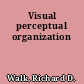 Visual perceptual organization
