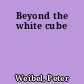 Beyond the white cube