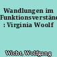 Wandlungen im Funktionsverständnis : Virginia Woolf