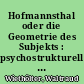 Hofmannsthal oder die Geometrie des Subjekts : psychostrukturelle und ikonographische Studien zum Prosawerk