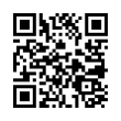 QR Code (код быстрого отклика)