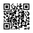 QR Code (код быстрого отклика)