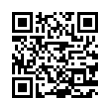 QR Code (код быстрого отклика)