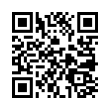 QR Code (код быстрого отклика)