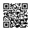 QR Code (код быстрого отклика)