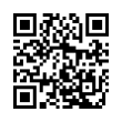 QR Code (код быстрого отклика)