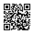 QR Code (код быстрого отклика)