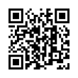 QR Code (код быстрого отклика)