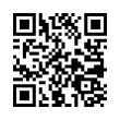 QR Code (код быстрого отклика)