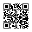 QR Code (код быстрого отклика)