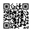 QR Code (код быстрого отклика)