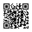 QR Code (код быстрого отклика)