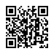 QR Code (код быстрого отклика)