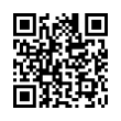 QR Code (код быстрого отклика)