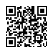 QR Code (код быстрого отклика)