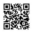 QR Code (код быстрого отклика)