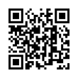 QR Code (код быстрого отклика)