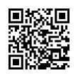 QR Code (код быстрого отклика)