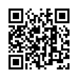 QR Code (код быстрого отклика)